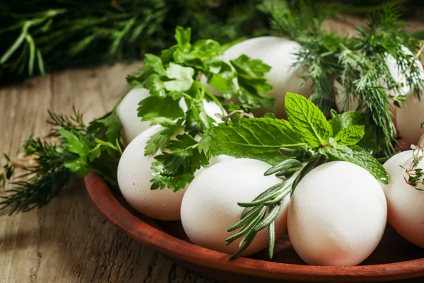 Easter eggs with a pattern of herbs — Stockfoto