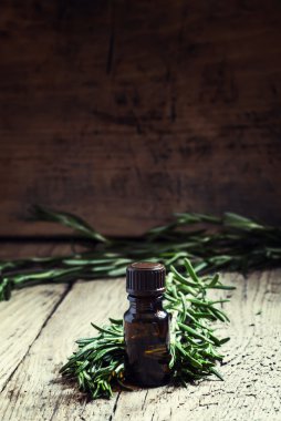 Biberiye esansiyel yağı bir küçük şişe ve taze biberiye