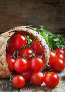Küçük kırmızı kiraz domates bir hasır sepet dışarı dökmek 