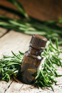 Biberiye esansiyel yağı bir küçük şişe ve taze biberiye