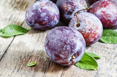 Su damlaları ile büyük mor Erik 