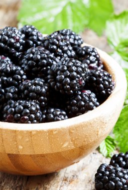 Güzel olgun siyah böğürtlen 