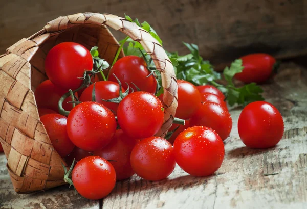 Маленькі червоні вишневі помідори виливаються з плетеного кошика — стокове фото