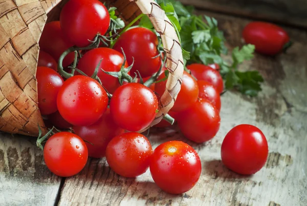 Small red cherry tomatoes spill out of a wicker basket — Stock Photo, Image