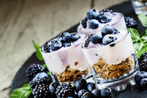 Zabpehely, joghurt, szeder és áfonyák desszertje — Stock Fotó