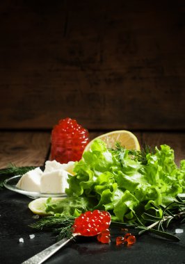 Bir gümüş kaşık siyah bir taş zemin üzerine kırmızı somon havyar  