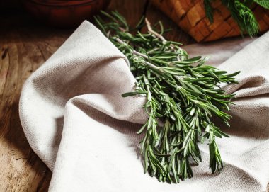 Fresh spicy fragrant rosemary on a gray napkin