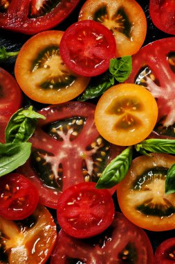 Renkli domates ve fesleğen salata için malzemeler  