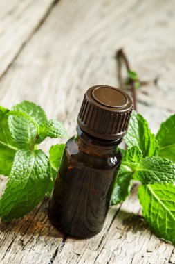 Küçük bir kahverengi şişe içinde nane uçucu yağ  