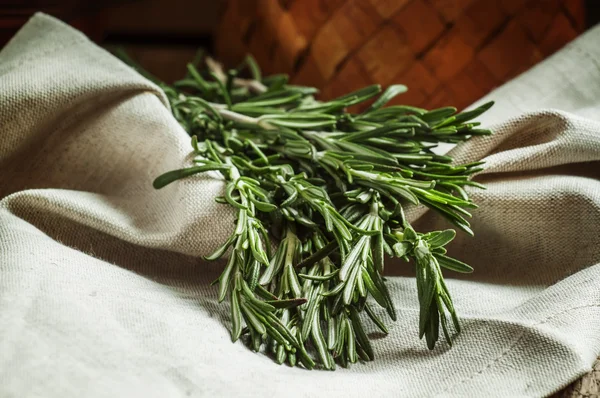 Rosemary fragrante picante fresco em um guardanapo cinza — Fotografia de Stock