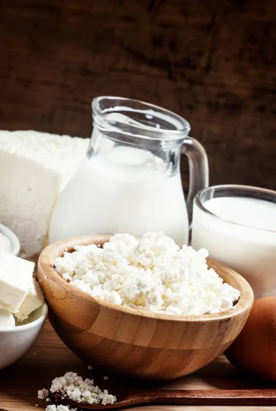 Gospodarstwo ekologiczne produkty mleczne — Zdjęcie stockowe