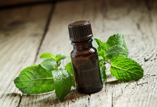 Aceite esencial de menta en una pequeña botella marrón — Foto de Stock