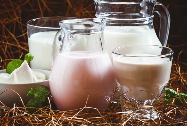 Organic dairy products — Stock Photo, Image