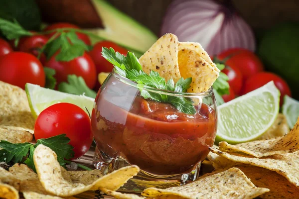 Nachos mexicanos com molho de tomate picante — Fotografia de Stock