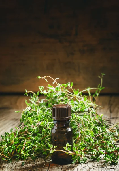 在一个瓶子里的百里香和新鲜香草百里香的香精油 — 图库照片