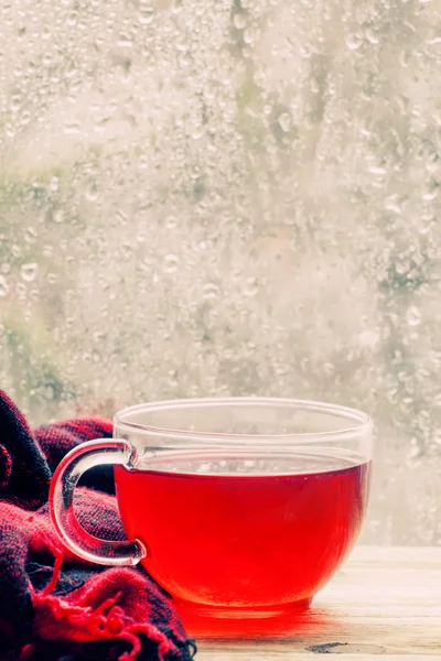 Copo com chá vermelho quente na frente de uma janela — Fotografia de Stock