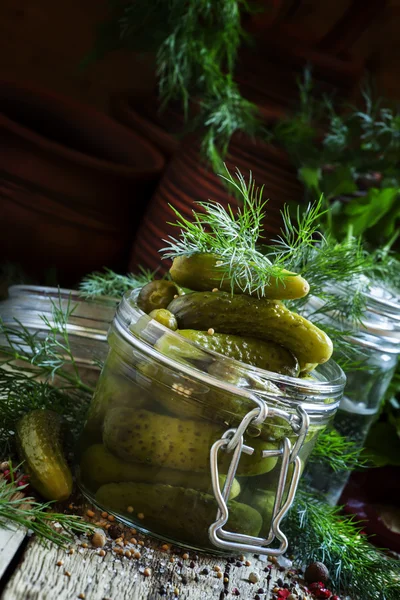 Ingemaakte kleine komkommers augurken in een glazen pot — Stockfoto