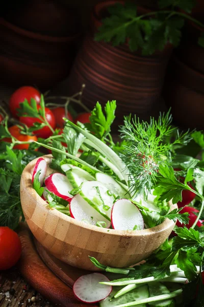 Insalata vegetariana con verdure — Foto Stock