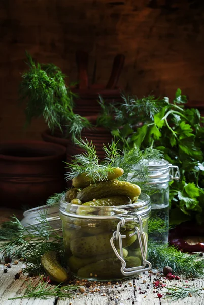 Ingemaakte kleine komkommers augurken in een glazen pot — Stockfoto