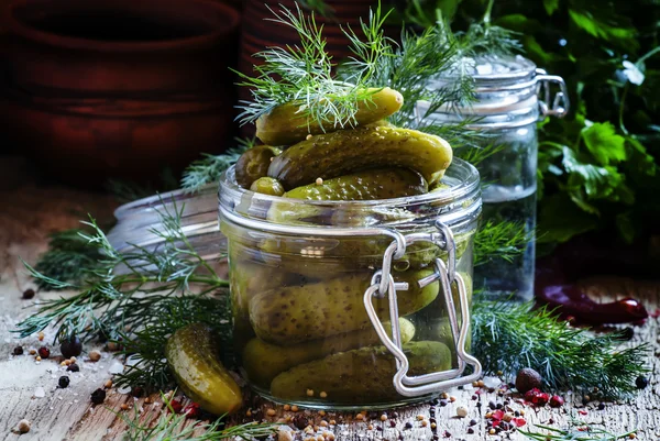 Ecetes kis uborka uborka egy üvegedénybe — Stock Fotó