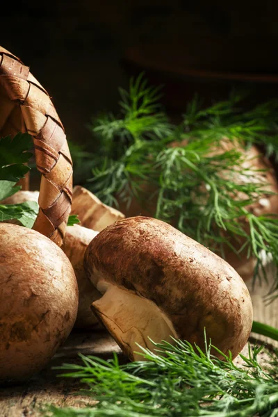 Bruine champignons, peterselie, dille en een rieten mand — Stockfoto