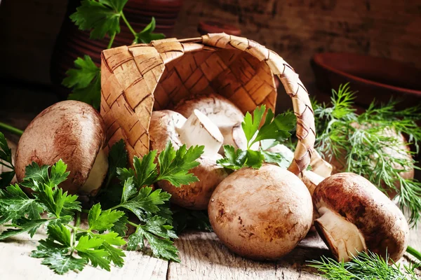 Bruine champignons, peterselie, dille en een rieten mand — Stockfoto