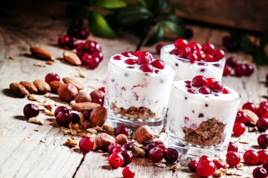 Kızılcık, yoğurt, tahıl, yulaf ezmesi ve fındık ile tatlı tatlı 