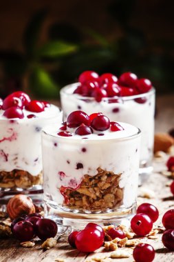 Kızılcık, yoğurt, tahıl, yulaf ezmesi ve fındık ile tatlı tatlı 