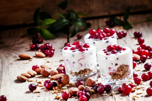 Söt dessert med tranbär, yoghurt, flingor, havregryn och nötter — Stockfoto
