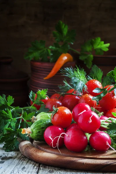 Rädisa, tomat, gurka, peppar, persilja och dill — Stockfoto