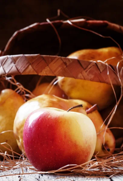 Reife gelbe und rote Äpfel und Birnen, Herbsternte — Stockfoto
