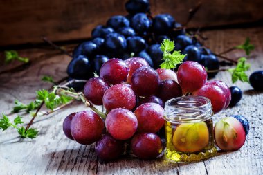 Esansiyel yağı, üzüm çekirdeği ve üzüm taze bir demet