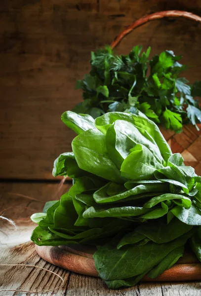 Fresh green sorrel — Stock Photo, Image