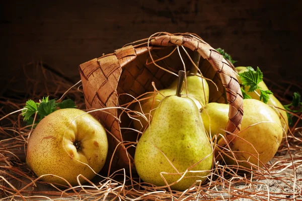 Ripe autumn yellow pears poured out of a wicker basket — Stock Photo, Image