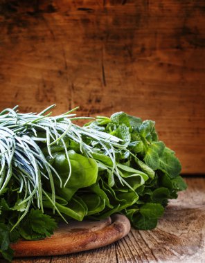 Baharatlı otlar, seçici odak