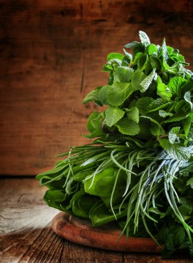 Baharatlı otlar, seçici odak