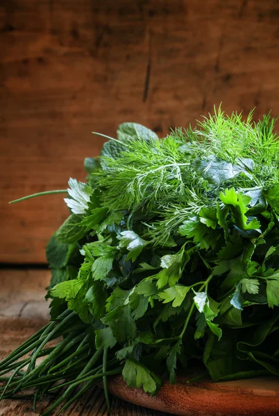 Würzige Kräuter, selektiver Fokus — Stockfoto