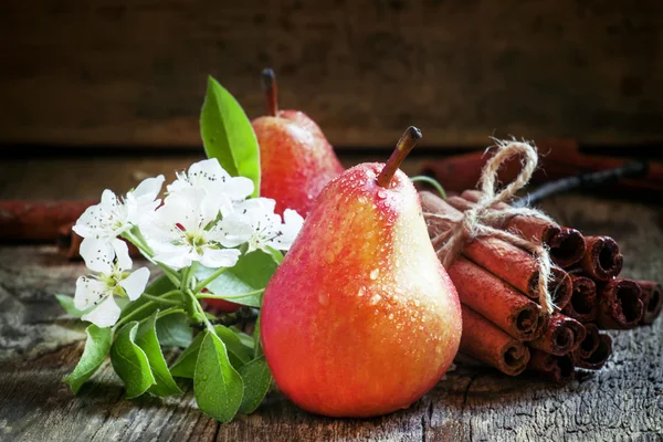 Červené hrušky, kvetoucí hrušně, tyčinky skořice — Stock fotografie