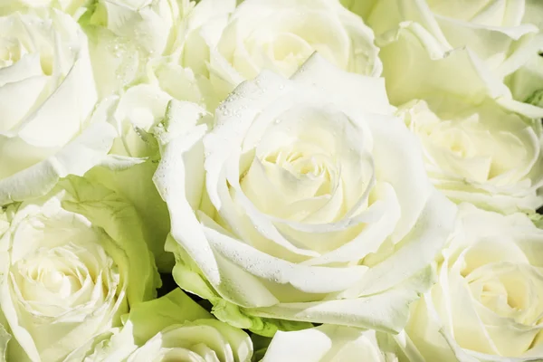 Natural background, bouquet with white and green roses — Stock Photo, Image