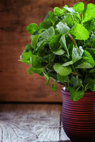 Ramo de menta, fondo de madera vintage —  Fotos de Stock