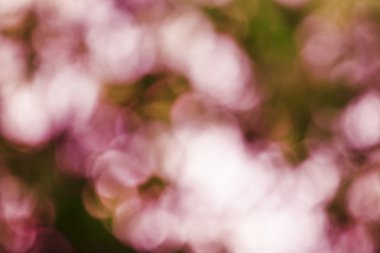 Doğal yaz bulanık arka plan bokeh