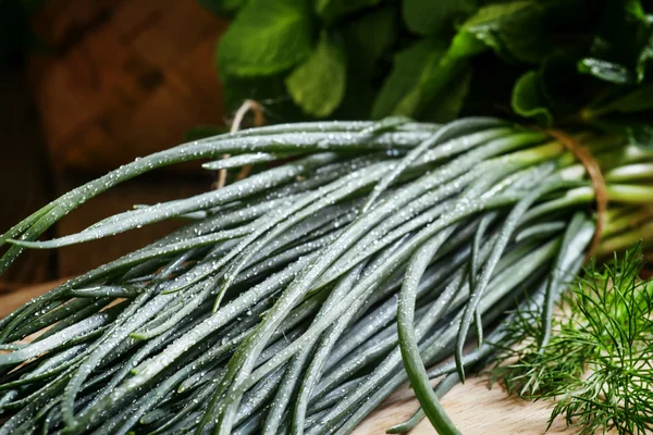 Cebolas verdes com baixas de orvalho — Fotografia de Stock