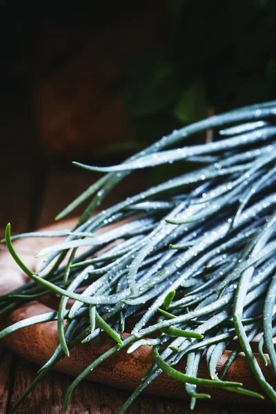 Grüne Zwiebeln mit Tautropfen — Stockfoto