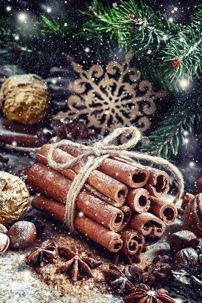 Stelletje kaneelstokjes in een compositie van Kerstmis — Stockfoto