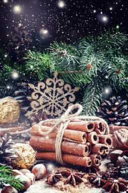 Tarçın bir Noel kompozisyon içinde demet 