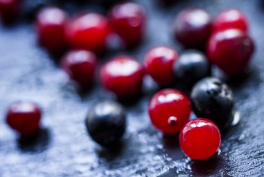 Kızılcık, üvez, aronias, ıslak bir karanlık taş 