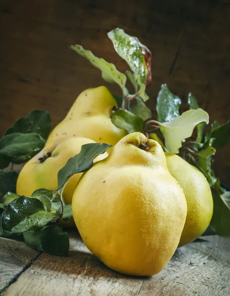 Large ripe quinces with green leaves — Stock Photo, Image