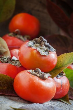 Hurma yaprakları eski ahşap tablo ile 