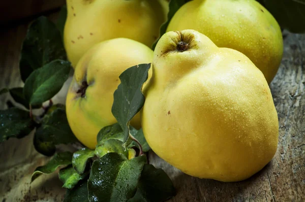 Grandi mele cotogne mature con foglie verdi — Foto Stock