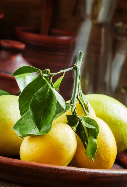 Φρέσκα λεμόνια με φύλλα σε ένα πήλινο πιάτο — Φωτογραφία Αρχείου